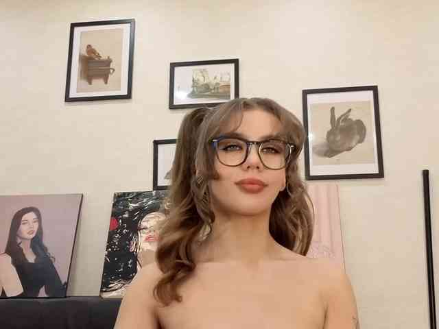 dolly-ll webcam
