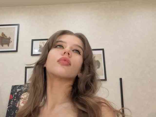 dolly-ll webcam