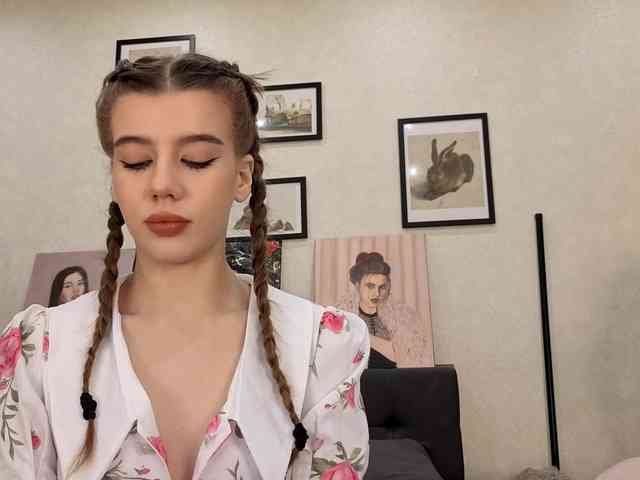 dolly-ll webcam