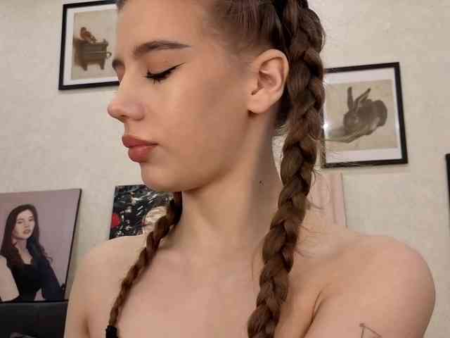 dolly-ll webcam