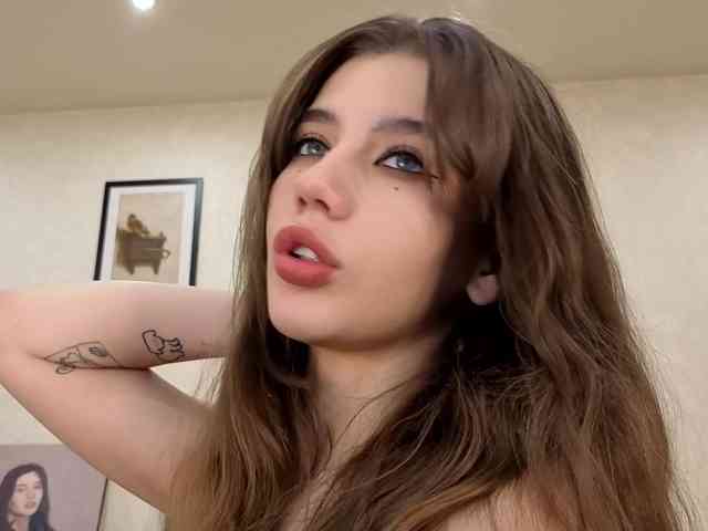 dolly-ll webcam