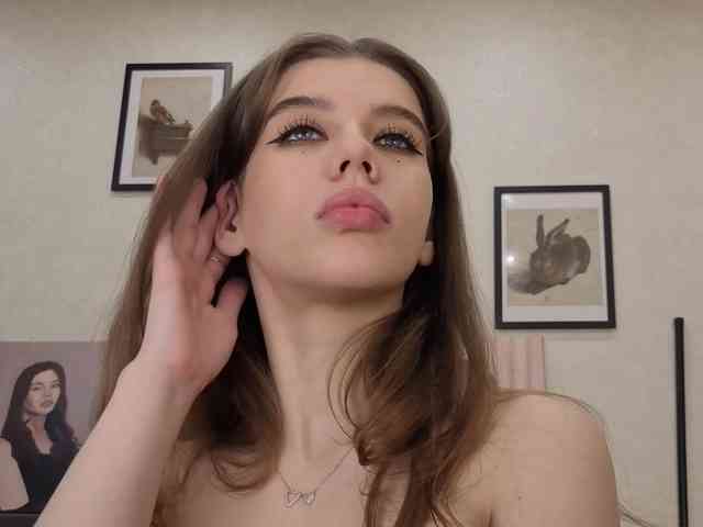 dolly-ll webcam