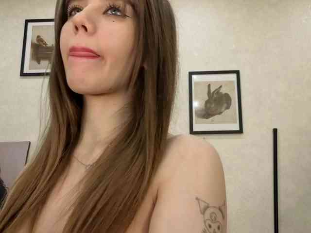 dolly-ll webcam