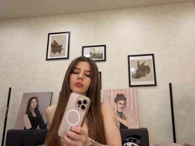 dolly-ll webcam