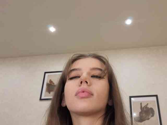 dolly-ll webcam
