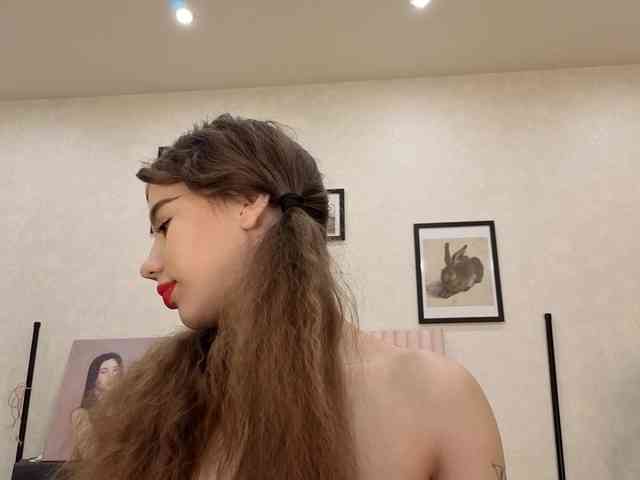 dolly-ll webcam