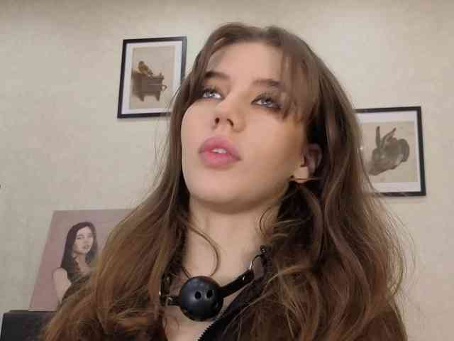 dolly-ll webcam