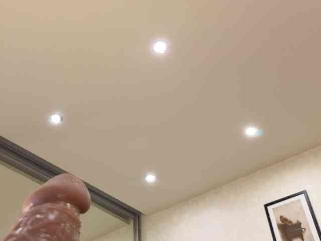 dolly-ll webcam