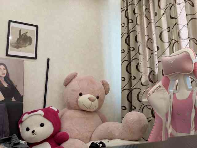 dolly-ll webcam