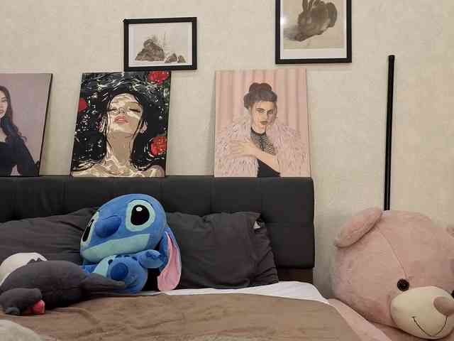 dolly-ll webcam