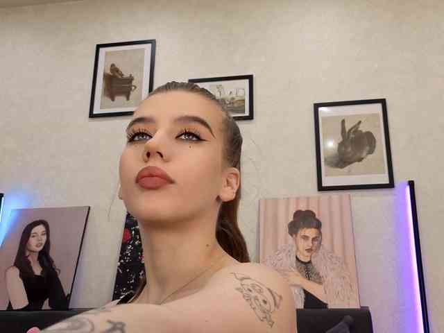 dolly-ll webcam