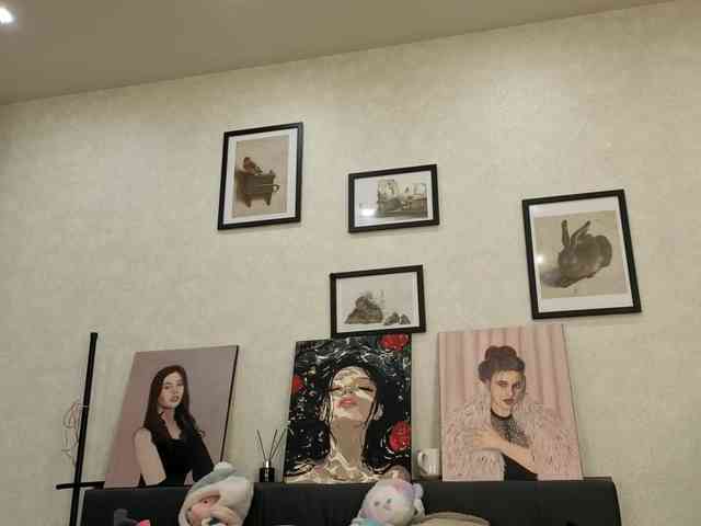 dolly-ll webcam
