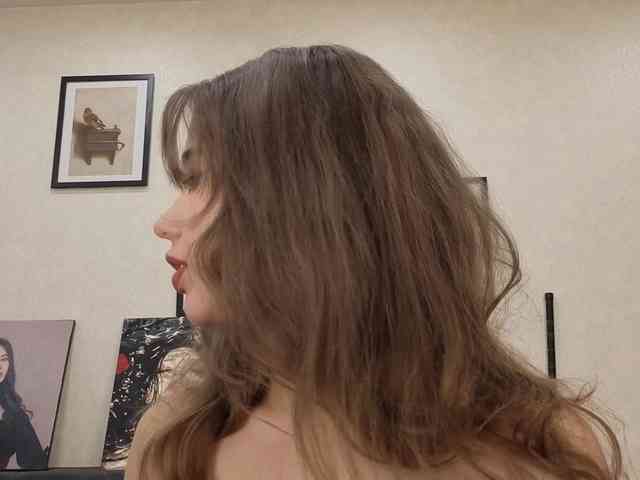 dolly-ll webcam