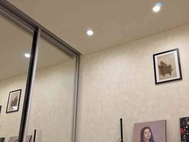 dolly-ll webcam