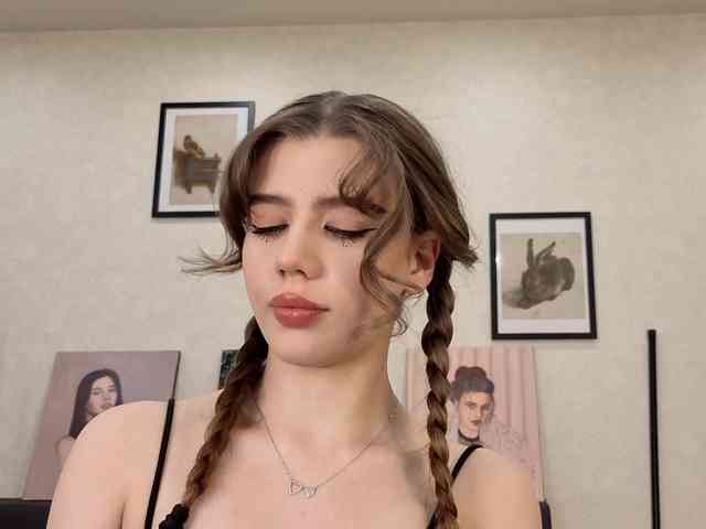 dolly-ll webcam