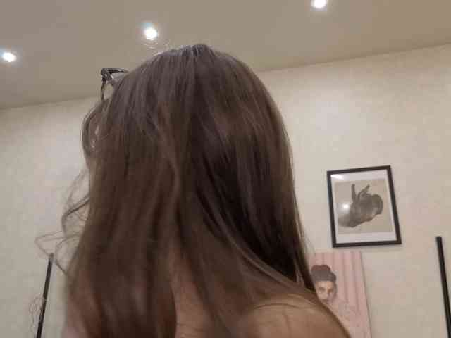 dolly-ll webcam