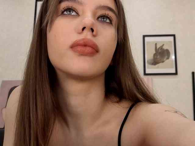 dolly-ll webcam