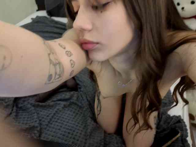 dolly-ll webcam