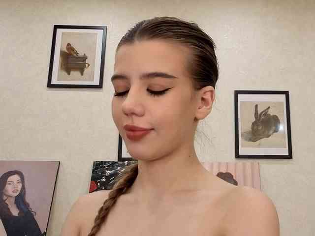 dolly-ll webcam