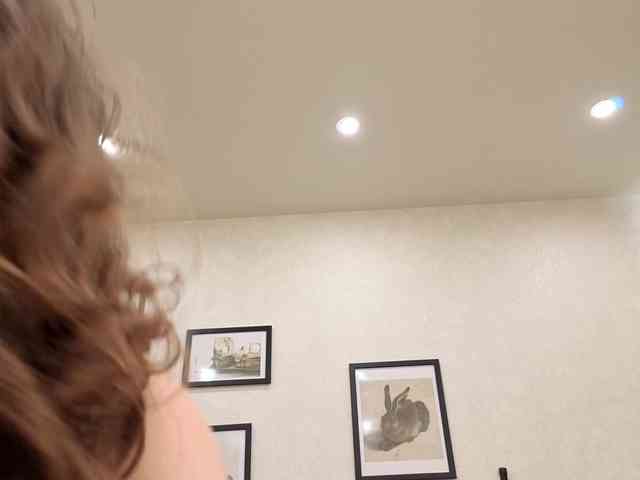 dolly-ll webcam