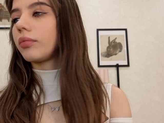 dolly-ll webcam