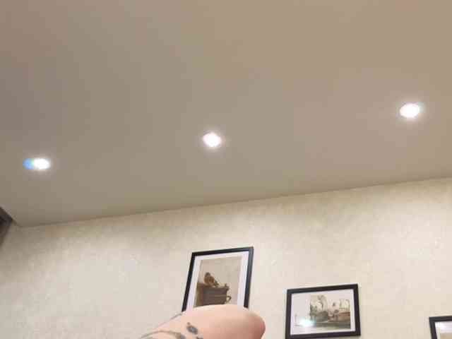 dolly-ll webcam