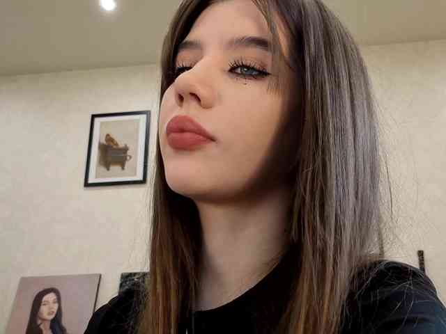 dolly-ll webcam