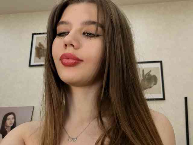 dolly-ll webcam