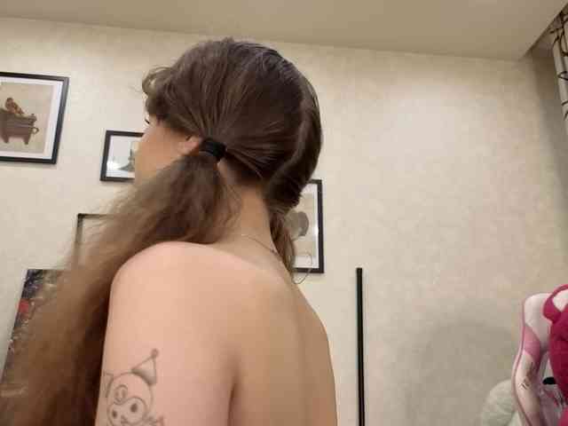 dolly-ll webcam
