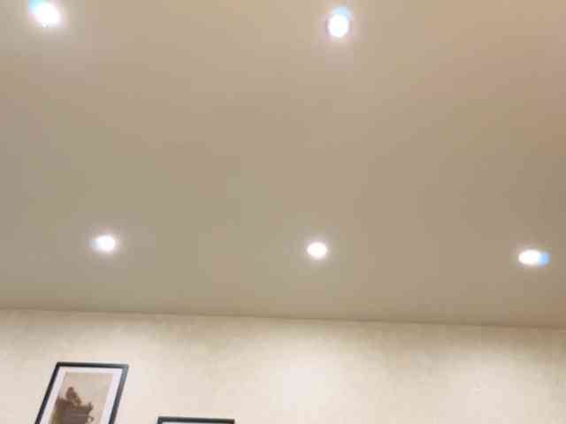 dolly-ll webcam