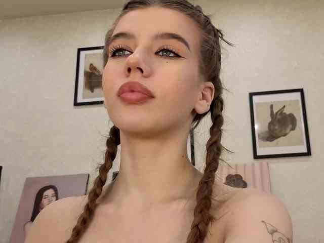dolly-ll webcam