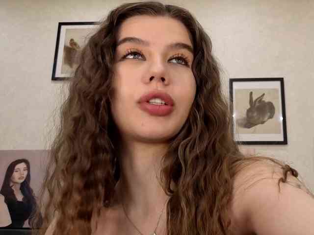 dolly-ll webcam