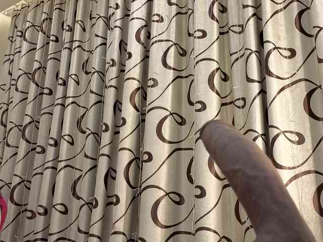 dolly-ll webcam