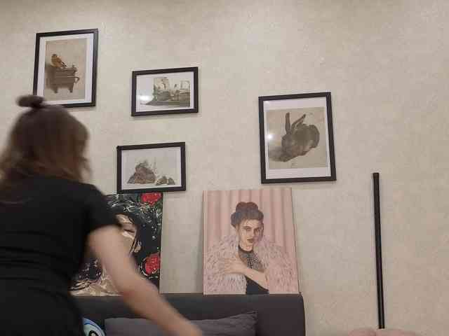 dolly-ll webcam