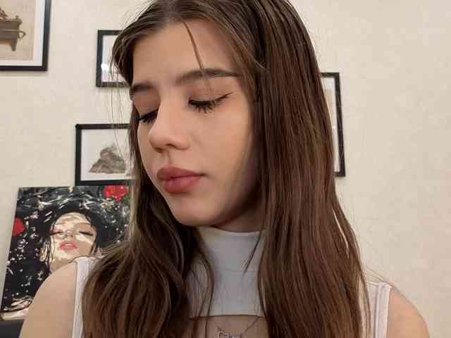 dolly-ll webcam