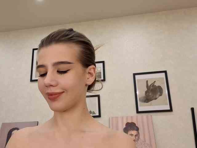 dolly-ll webcam