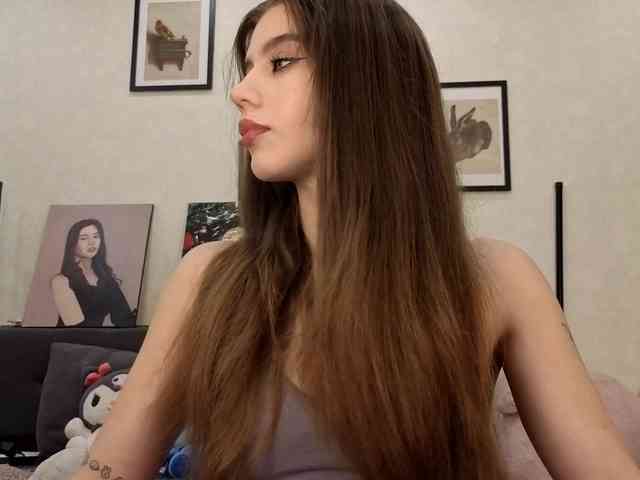 dolly-ll webcam