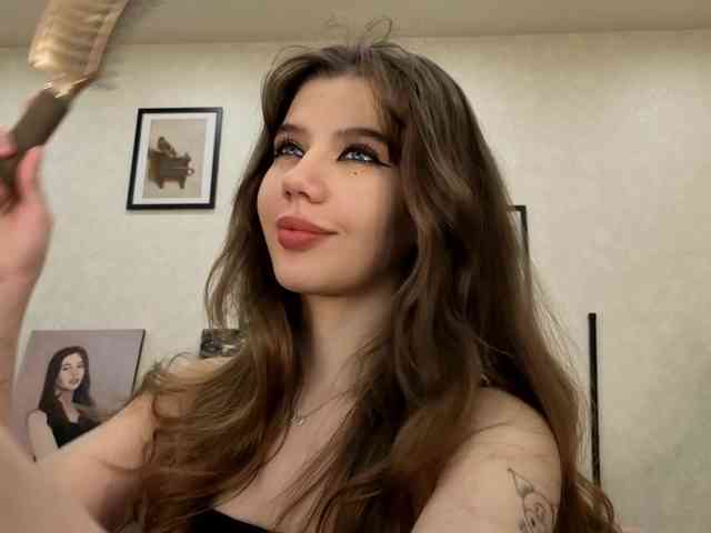 dolly-ll webcam