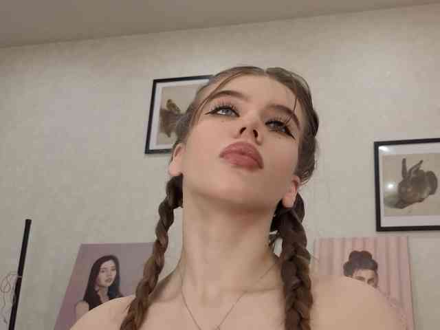 dolly-ll webcam