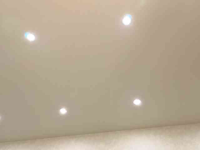 dolly-ll webcam