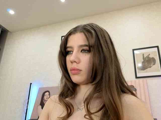 dolly-ll webcam