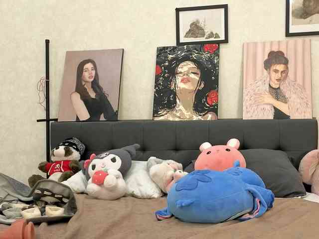 dolly-ll webcam