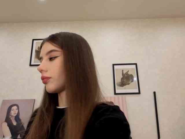 dolly-ll webcam