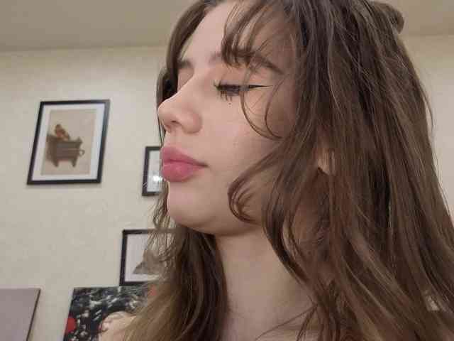 dolly-ll webcam