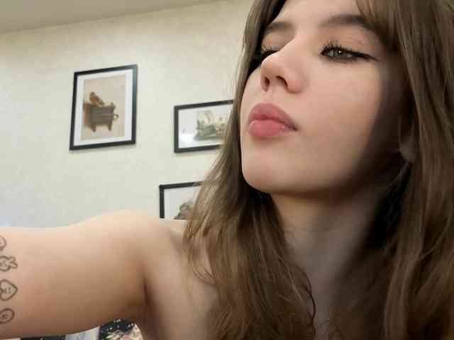 dolly-ll webcam