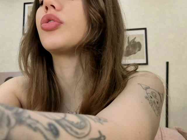 dolly-ll webcam