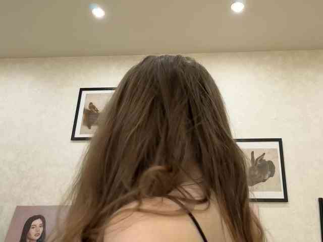 dolly-ll webcam