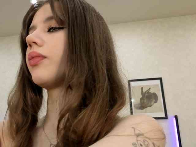 dolly-ll webcam