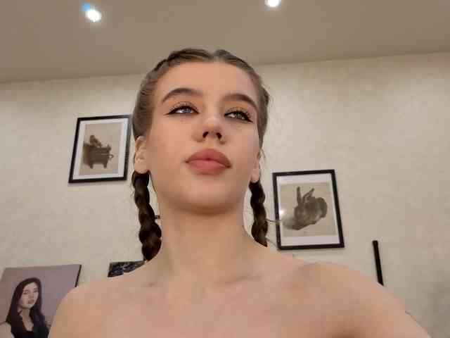 dolly-ll webcam