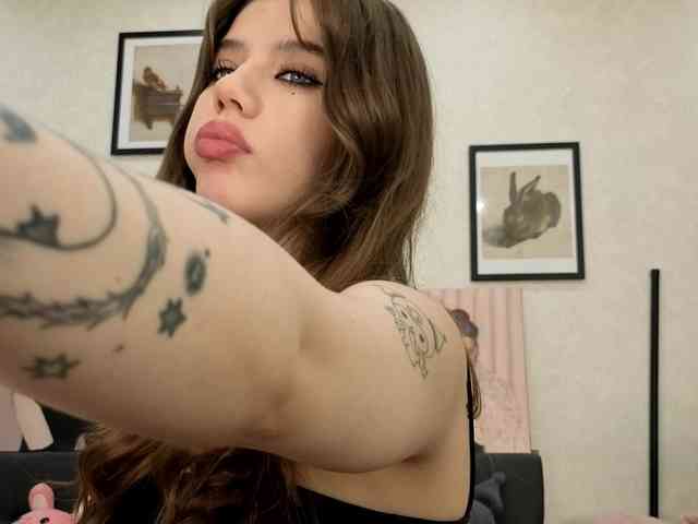 dolly-ll webcam